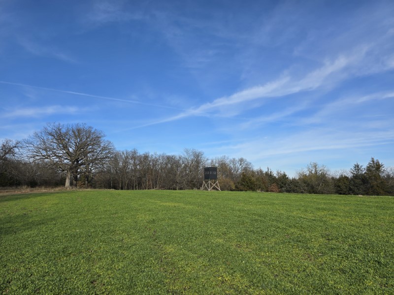 Decatur County, IA 437+/- primary image